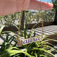 Custom Color Name Necklace MN2010