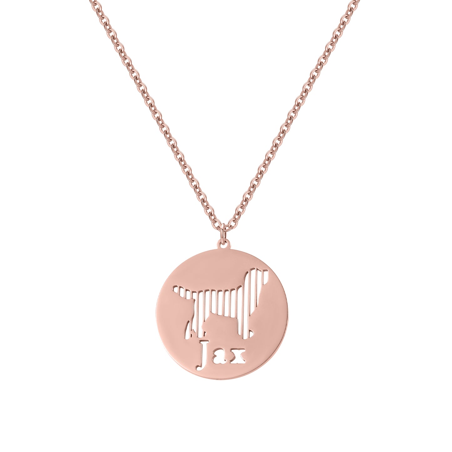 Custom Dog Name Disc Necklace, Personalized Cut‑Out Dog Silhouette Pendant, Pet Memorial Jewelry Gift for Dog Lover-QN3814