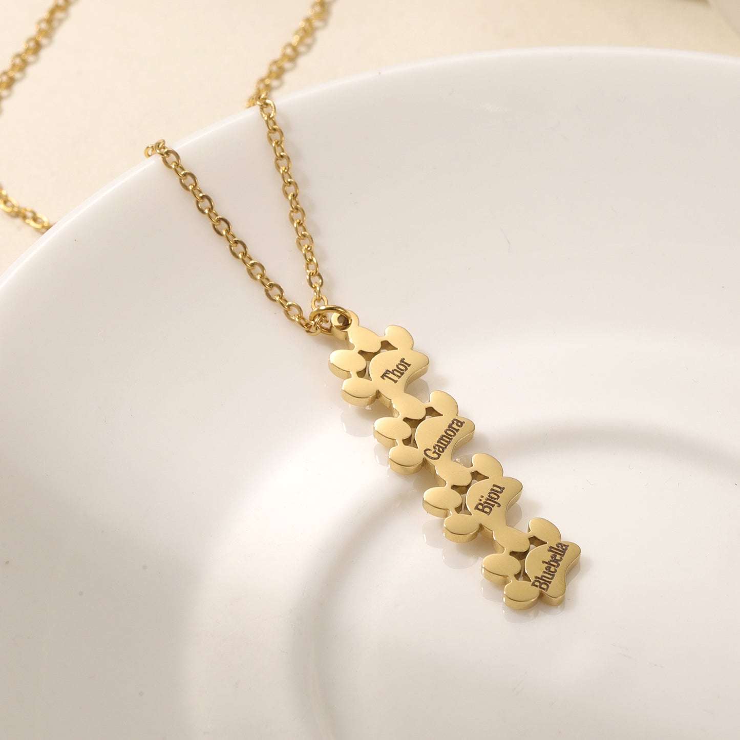 Engaving Name Pet Paw Necklace QD-N8629