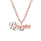Double Layer Two Tone Nameplate Necklace QN844