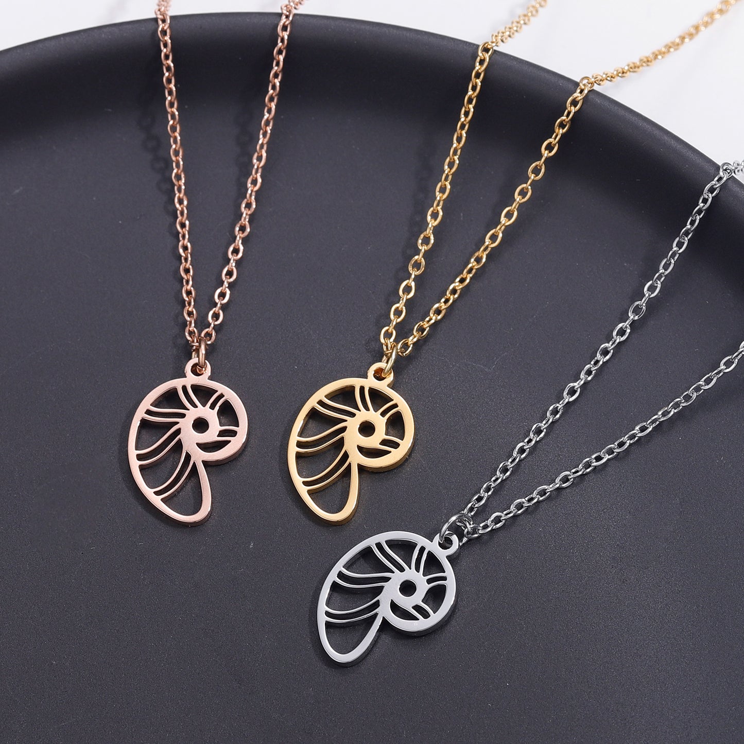 Conch Bracelet/Necklace For Women  QN318