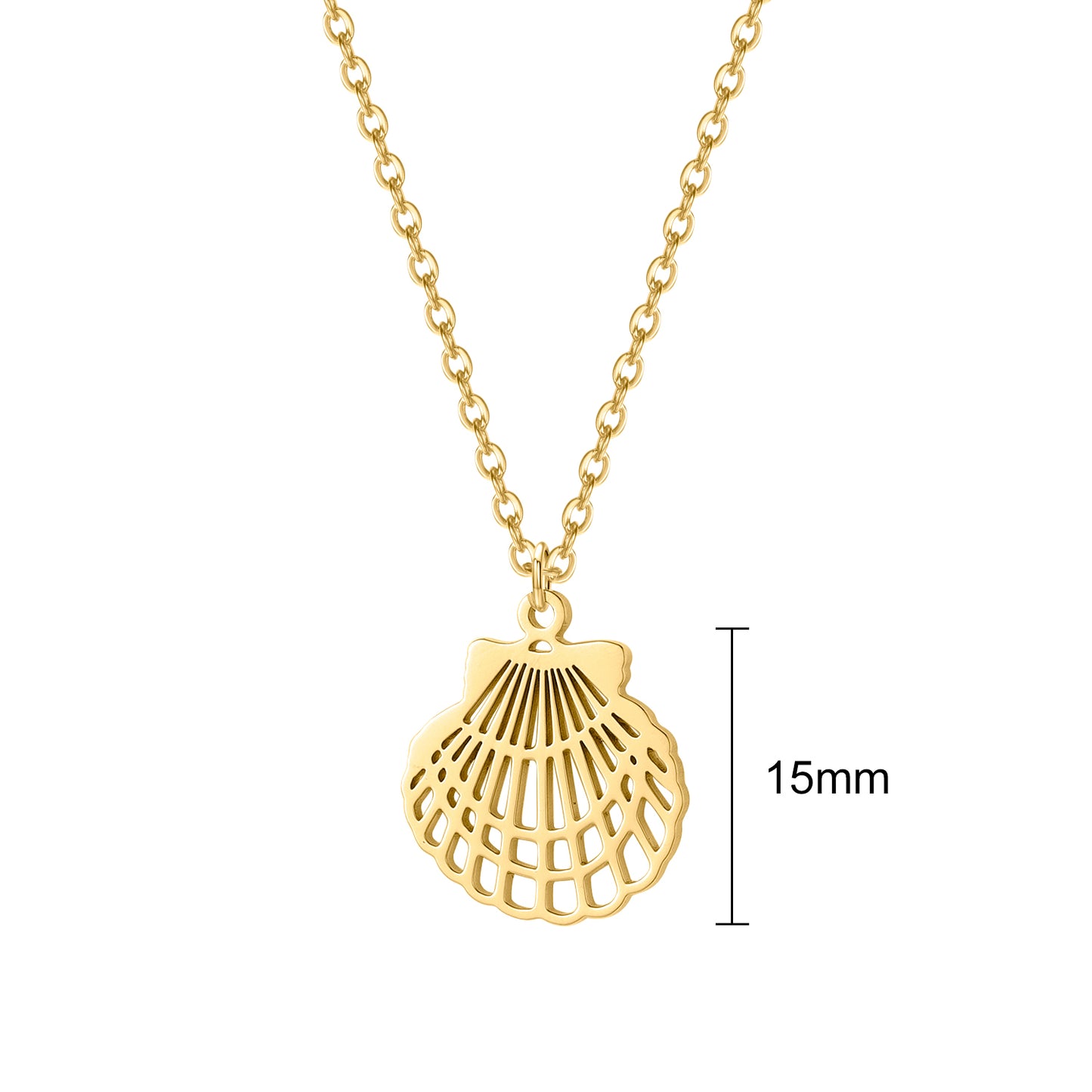 Shell Bracelet/Necklace For Women QN317
