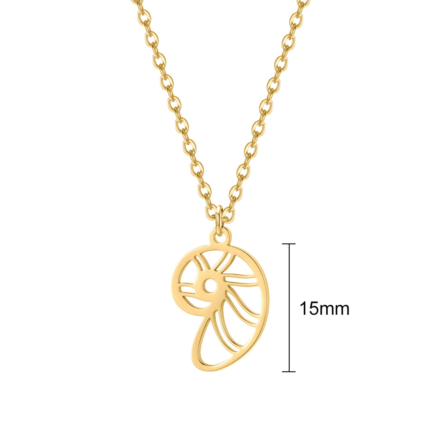 Conch Bracelet/Necklace For Women  QN318