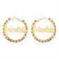 Fancy Color Diamond Round Name Earrings QE398